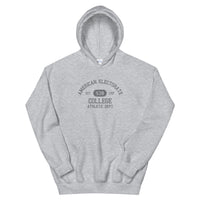 Electoral College Unisex Hoodie