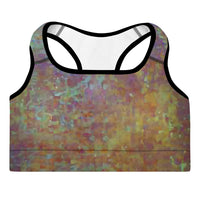 Padded Sports Bra - Wall