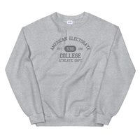 Electoral College Unisex Sweatshirt